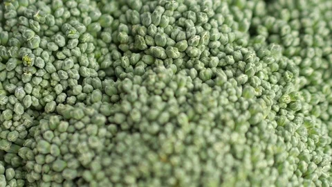 Broccoli Stock Footage 101915263