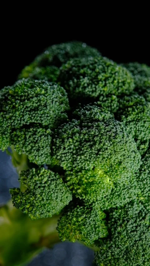 Broccoli Stock Footage 170863132