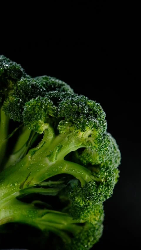 Broccoli Stock Footage 170863144