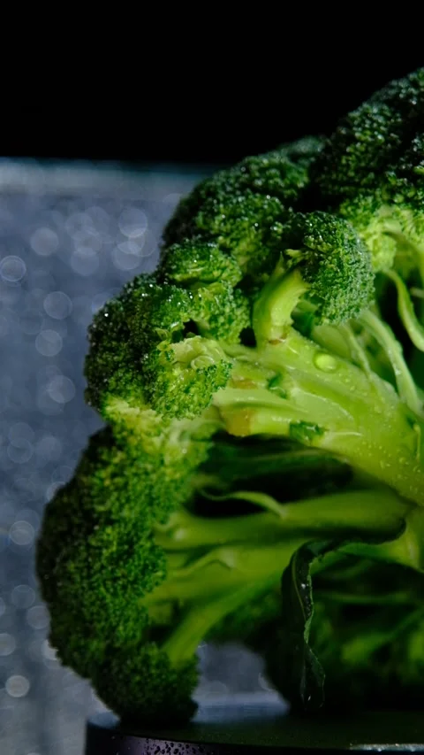 Broccoli Stock Footage 170863147