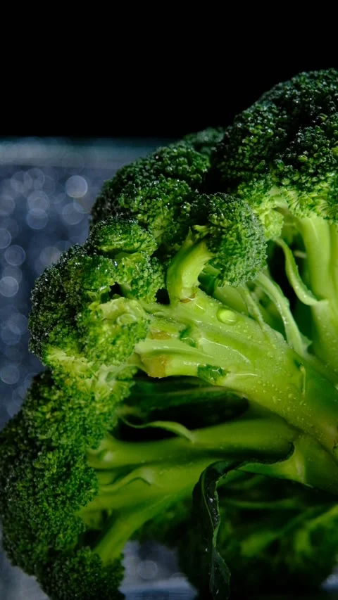 Broccoli Stock Footage 170863170