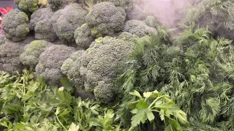Broccoli Stock Footage 275795280