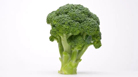 Broccoli. Stock Footage 283712544