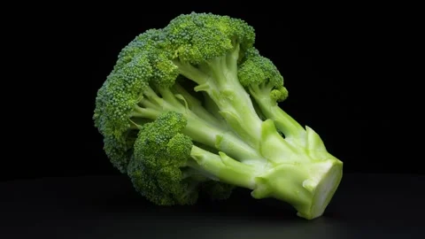 Broccoli. Stock Footage 283712560