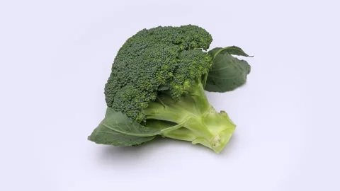 Broccoli Video stock 306924451