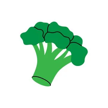 Broccoli. Fresh organic vegetable. Vector illustration Stock Illustration