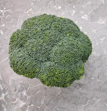 Broccoli, fresh Vegetable on ice Stock Photos