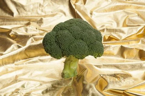 Broccoli on gold fabric Stock Photos