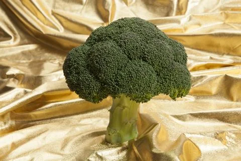 Broccoli on gold fabric Stock Photos
