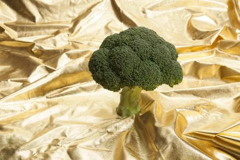 Broccoli on gold fabric Stock Photos