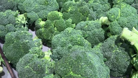 Broccoli green cabbage fresh vegetable on store counter tasty snack Stock Footage 330425764