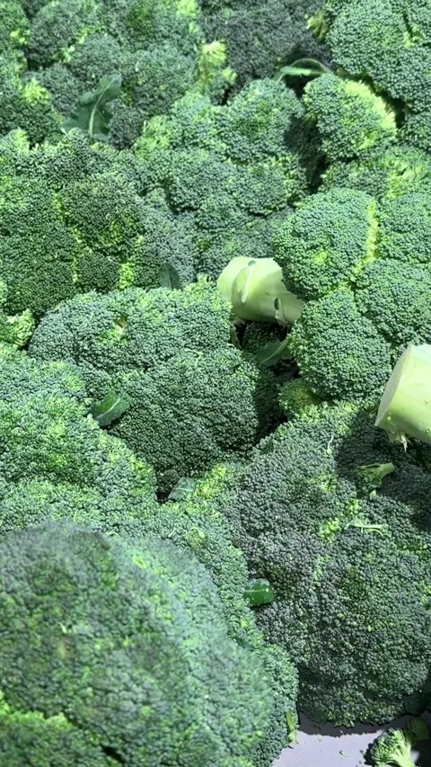 Broccoli green cabbage fresh vegetable on store counter tasty snack Stock Footage 330425771