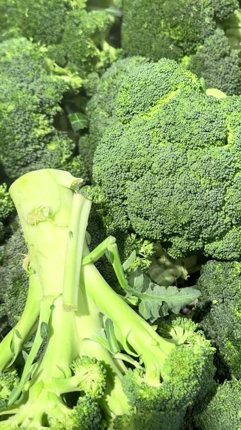 Broccoli green cabbage fresh vegetable on store counter tasty snack Stock Footage 330425782