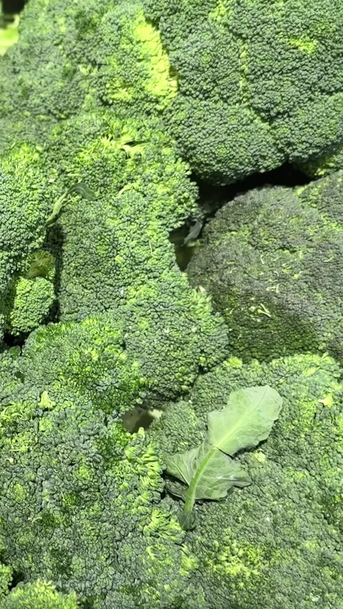 Broccoli green cabbage fresh vegetable on store counter tasty snack Stock Footage 330425783