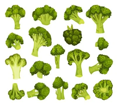 Broccoli Green Vegetable with Cabbage Head Big Vector Set Ilustración de archivo