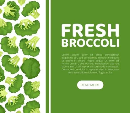 Broccoli Green Vegetable Design with Cabbage Head Vector Template Ilustración de archivo