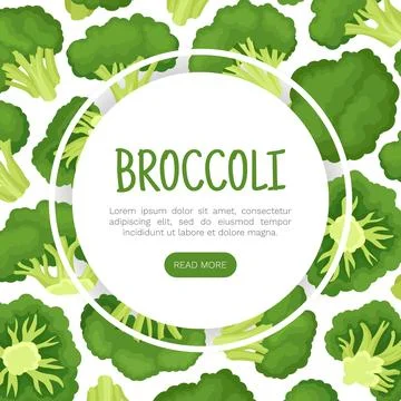 Broccoli Green Vegetable Design with Cabbage Head Vector Template Ilustración de archivo