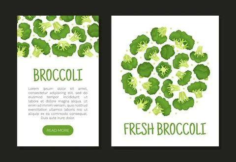 Broccoli Green Vegetable Design with Cabbage Head Vector Template Ilustración de archivo