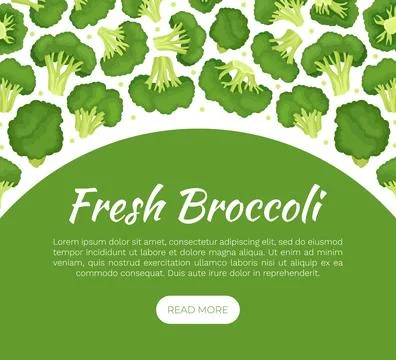 Broccoli Green Vegetable Design with Cabbage Head Vector Template Ilustración de archivo