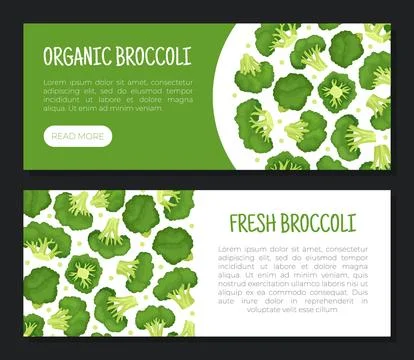 Broccoli Green Vegetable Design with Cabbage Head Vector Template Ilustración de archivo