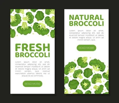 Broccoli Green Vegetable Design with Cabbage Head Vector Template Ilustración de archivo