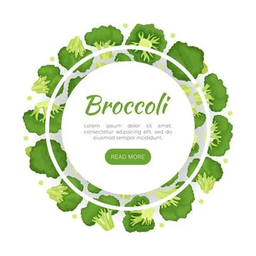 Broccoli Green Vegetable Design with Cabbage Head Vector Template Ilustración de archivo
