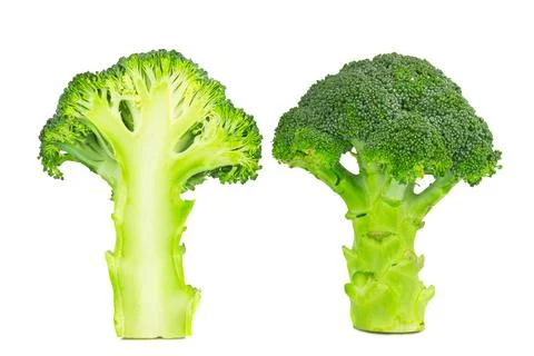 Broccoli half isolated on white background Stock Photos