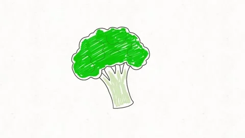 Broccoli Hand Drawn Doodle Animation Stock Footage 338000219