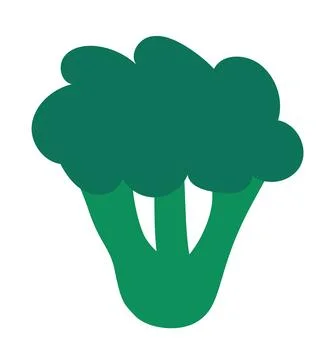 Broccoli hand drawn element.  Vector flat illustration. Stock Illustration