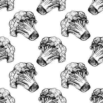 Broccoli hand drawn seamless pattern vector illustration. Vegetable engraved  Stock Illustration