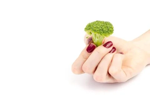 Broccoli in hand isolated on white background with copy space Stock Photos