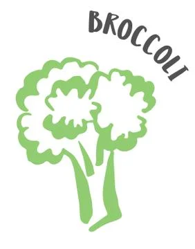 Broccoli hand painted with ink brush isolated on white background Stock Illustration