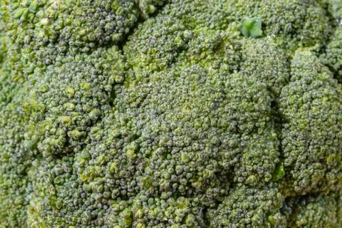 Broccoli head Stock Photos