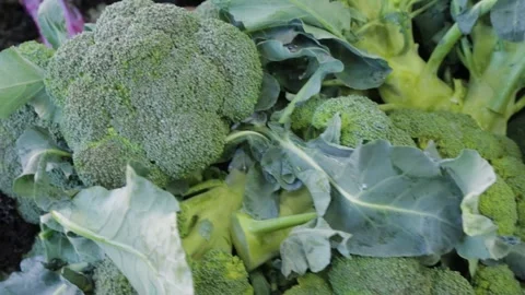 Broccoli Heads and Leaves on Display at Sydney Market Vegetable Stall Stock Footage 345702318