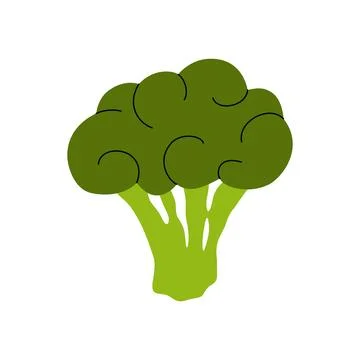 Broccoli icon. Green broccoli cabbage cartoon style, fresh vegetable Stock Illustration