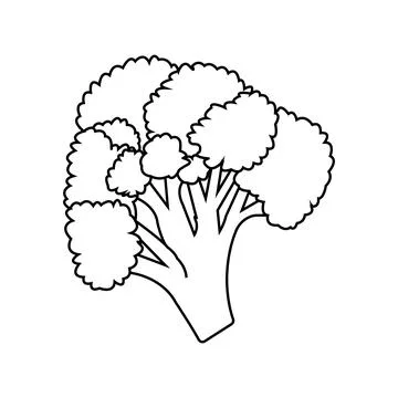 Broccoli icon Stock Illustration