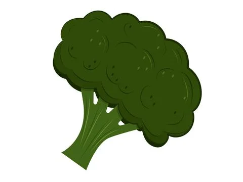 Broccoli icon isolated on white background. Vegetable fresh, farm healthy food. Stock Illustration