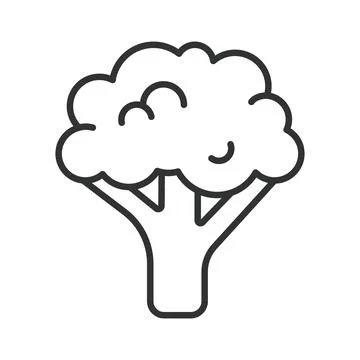 Broccoli icon in line design. broccoli vegetable food fresh organic healthy 库存插图