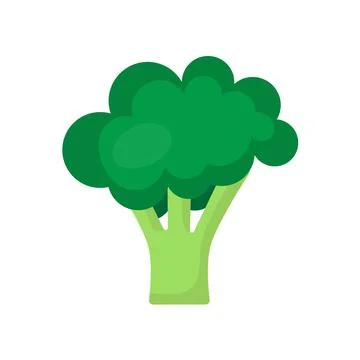 Broccoli Icon White Background Flat Style Print Web Design eps 10 Stock Illustration