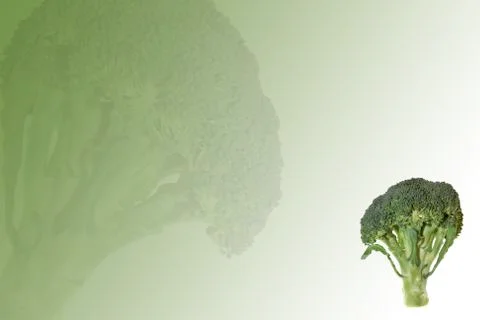 Broccoli Stock Illustration