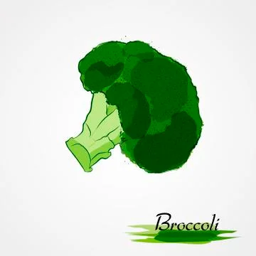 Broccoli Stock Illustration