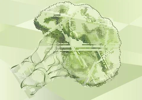 Broccoli Stock Illustration