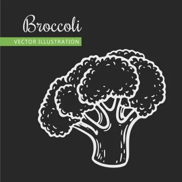 Broccoli Stock Illustration