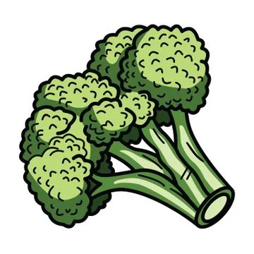 Broccoli Illustrazione stock