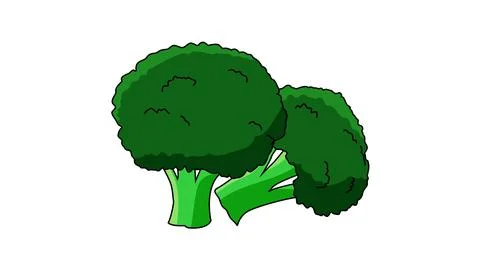 Broccoli Ilustración de archivo