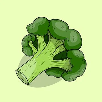 Broccoli Stock Illustration