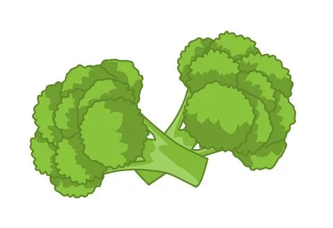 Broccoli illustration Stock Illustration