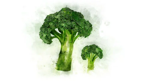 Broccoli Illustration for the overlay | Stock Video | Pond5