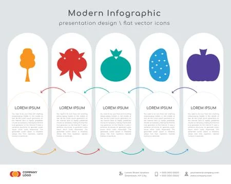 Broccoli infographics design Stock Illustration