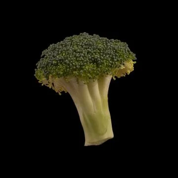Broccoli isolated on black background. Flat lay Foto stock